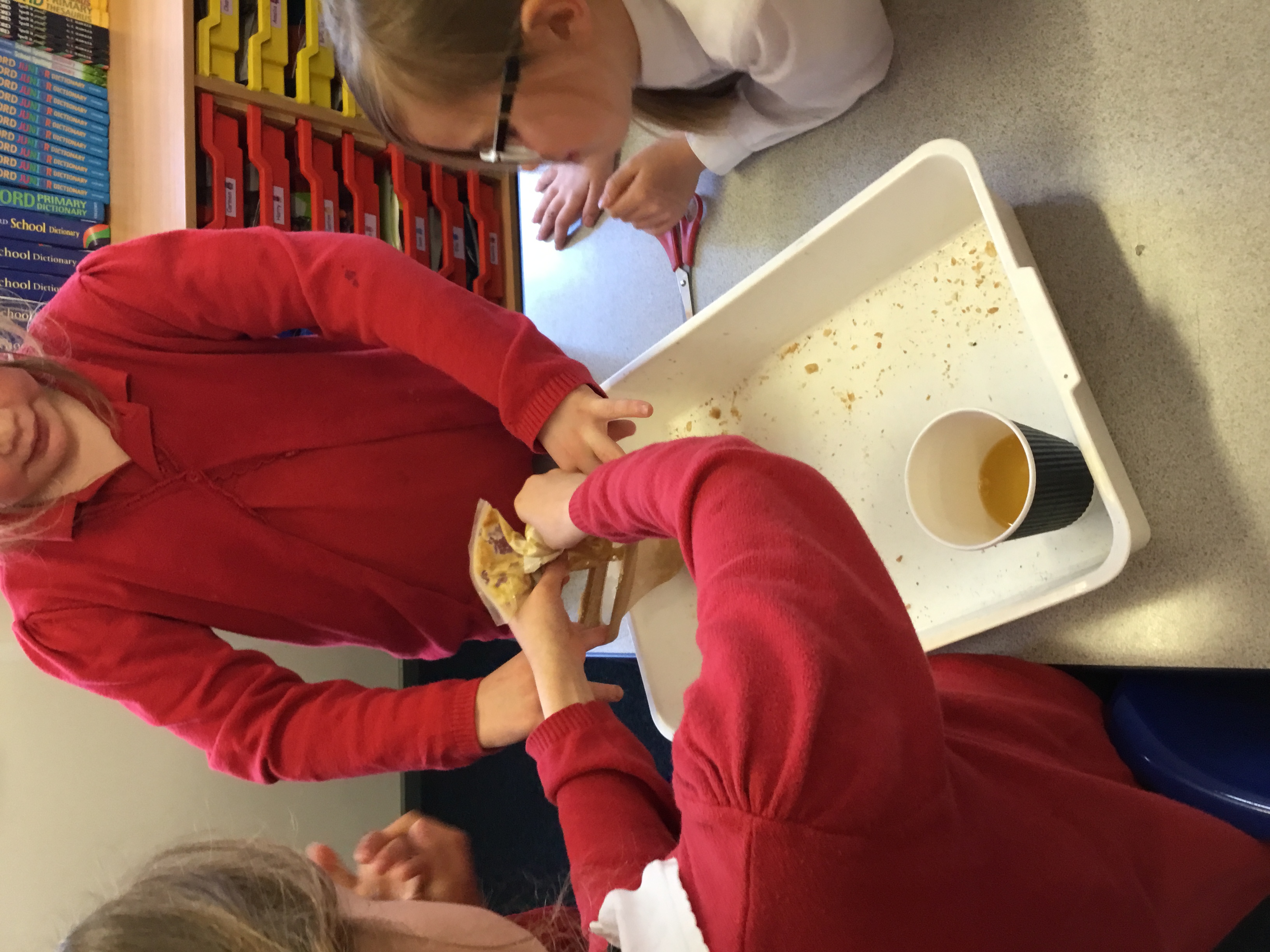 Beech Class Gallery | Asfordby Hill Primary School